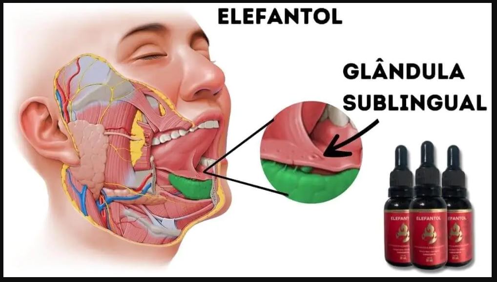 Como usar o ELEFANTOL corretamente?