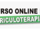 Curso de Auriculoterapia Online do Thiago